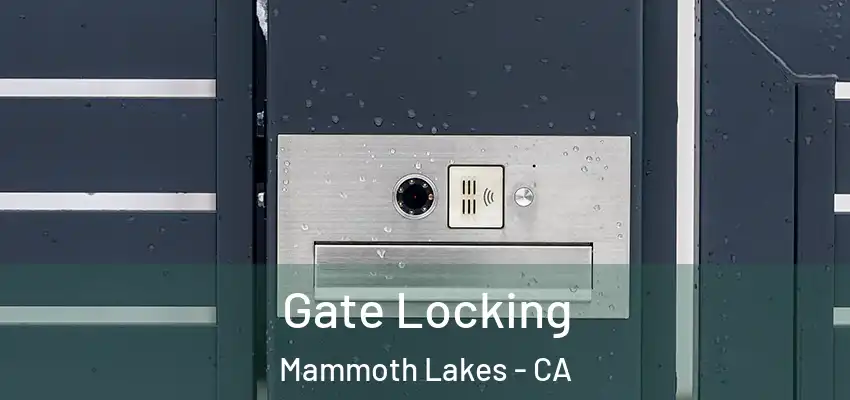  Gate Locking Mammoth Lakes - CA