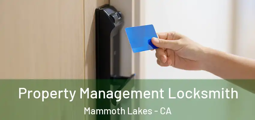  Property Management Locksmith Mammoth Lakes - CA